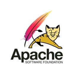Apache Tomcat | localhost
